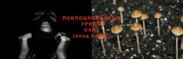 кокаин Белокуриха